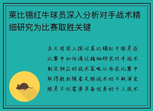 莱比锡红牛球员深入分析对手战术精细研究为比赛取胜关键